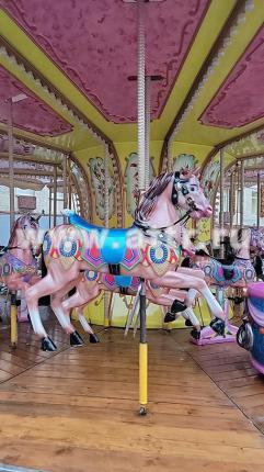 Установленная карусель на празднике — аренда в Москве