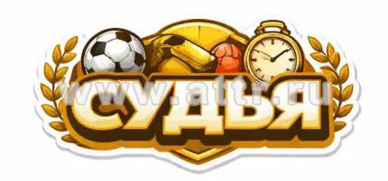 судья